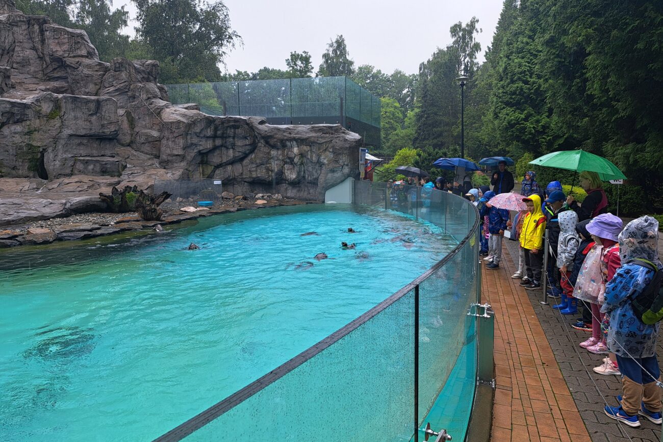 Akcja Lato 2025 w Gminie Zabierzów - Wakacyjna Przygoda dla Dzieci i Młodzieży