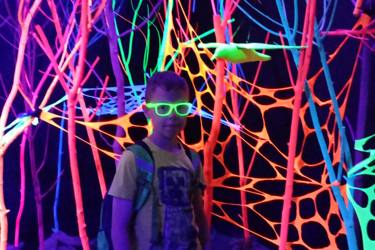 Akcja Lato 2025 w Gminie Zabierzów - Wakacyjna Przygoda dla Dzieci i Młodzieży